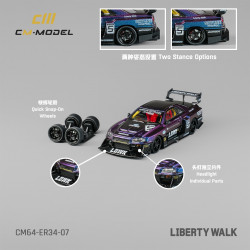 1/64 CM  Nissan LBWK ER34 NO.5 chameleon